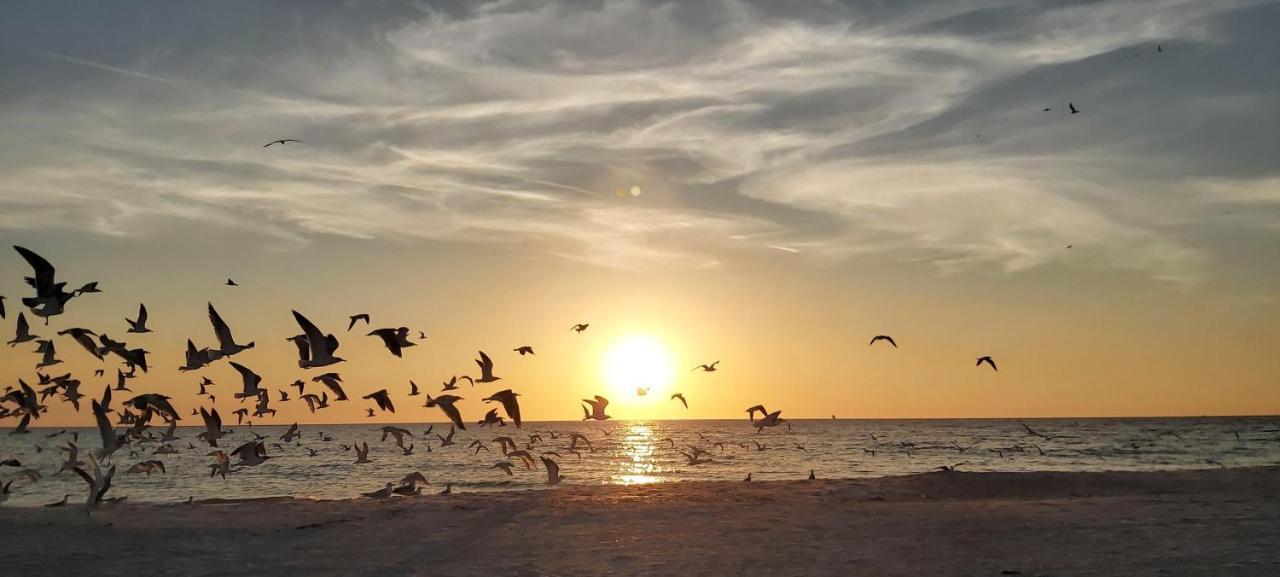 Villa Sunset Vistas 206S St. Pete Beach Esterno foto
